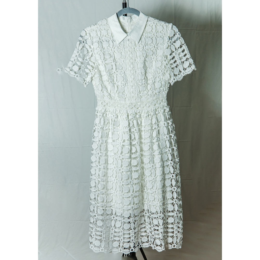Chicwish - White Lace Overlay w/ Peter Pan Collar